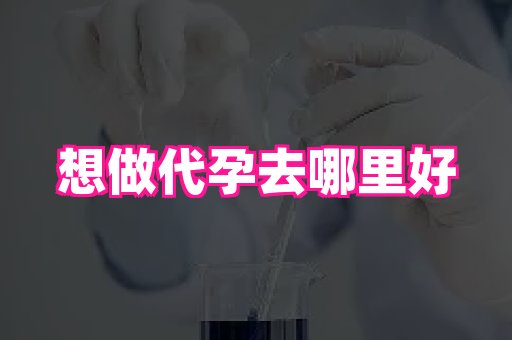 61助孕网 1
