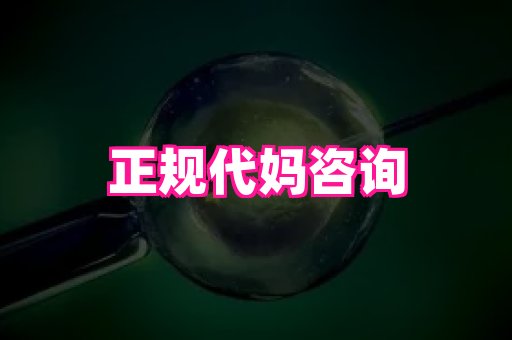 61助孕网 3